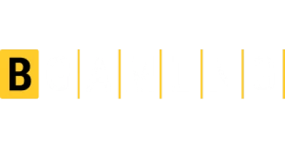 partners who work with KingPalace