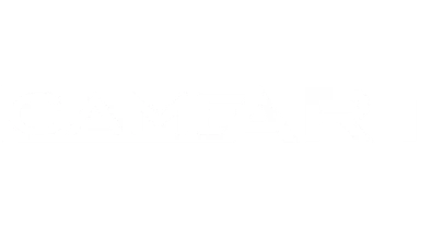 partners who work with KingPalace